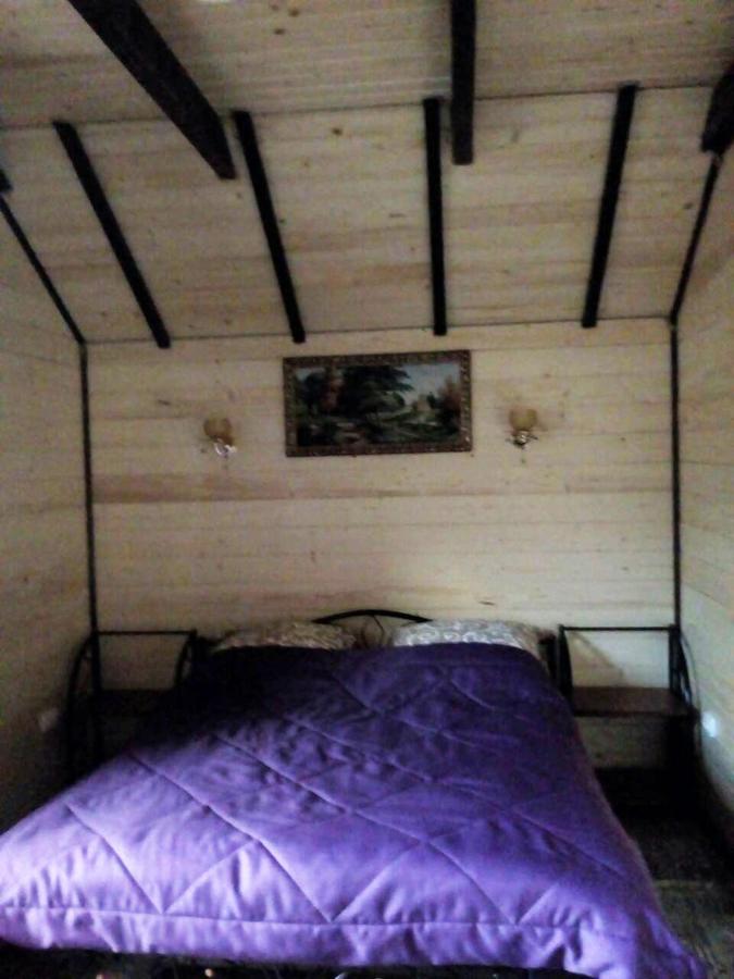 Rosinka Apartment Yaremche Bagian luar foto